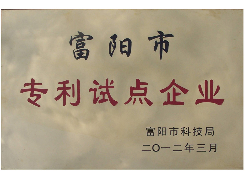 2012富阳市专利试点企业-春江